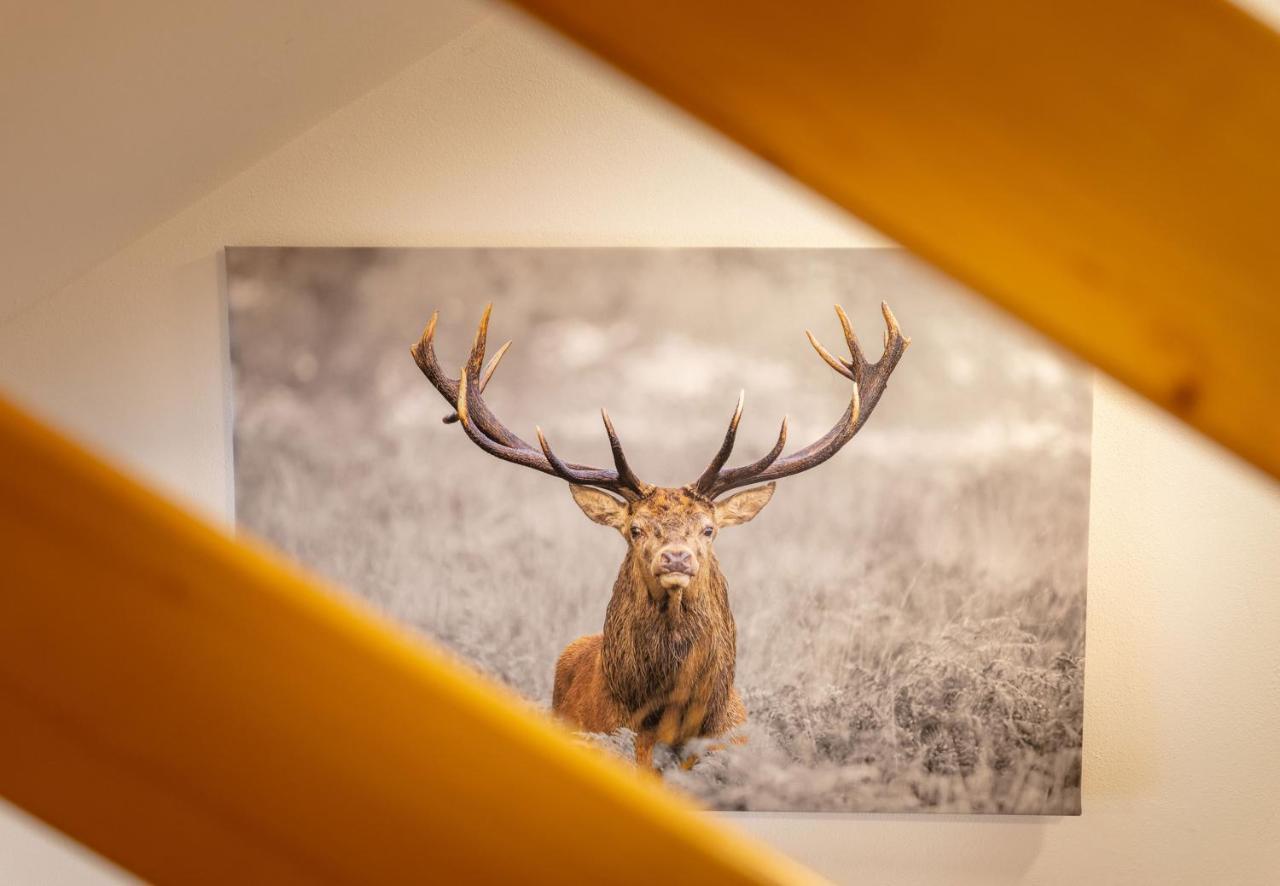 Apartmenthaus Matri By Pferd Auf Wolke Wald am Arlberg Exteriér fotografie